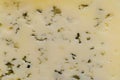 Texture of moldy cheese with holes