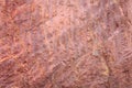 Texture of mountain showing red soil and rock Royalty Free Stock Photo