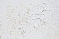 Texture much cracked white paint Royalty Free Stock Photo