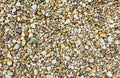 Texture of multi-colored small smooth river pebbles Royalty Free Stock Photo