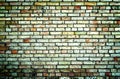 Texture of multicolored brick wall high contrasted