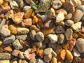 Texture of multicolored gravel Royalty Free Stock Photo