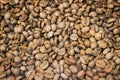 Texture natural background of light roasted coffee beans