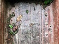 Texture, natural background. pink metal trolley with rust. inside are plants and herbs. on the texture there are large bolts, rust