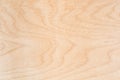 Texture of natural birch plywood, the surface of the lumber is untreated, a lot of fiber and small chips