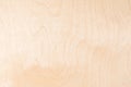 Texture of natural birch plywood, the surface of the lumber is untreated, a lot of fiber and small chips Royalty Free Stock Photo