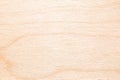 Texture of natural birch plywood, the surface of the lumber is untreated, a lot of fiber and small chips Royalty Free Stock Photo