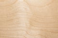 Texture of natural birch plywood, the surface of the lumber is untreated, a lot of fiber and small chips Royalty Free Stock Photo