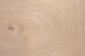 Texture of natural birch plywood, the surface of the wood has been rubbed with sandpaper and scratched Royalty Free Stock Photo