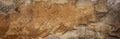 Texture of natural brown fur backgroundtexture nature sandstone wall - grunge stone surface background Royalty Free Stock Photo