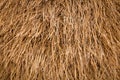 Texture of natural dry straw background Royalty Free Stock Photo