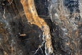 Texture of natural gray-black quartz stone with orange mineral inclusions Royalty Free Stock Photo