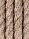 Texture natural jute rope made of cotton fiber and hemp. Close-up background of thick rope made of vegetable materials Royalty Free Stock Photo