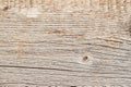 Texture of natural old weathered wooden board with crack lines, curves, swirls. Close-up. Rustic background Royalty Free Stock Photo