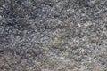 Texture of natural rock granite , magmatic structure with quartz Royalty Free Stock Photo