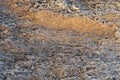 Texture of natural rock shell of rocky rock, marine life structure with limestone and traces of erosion