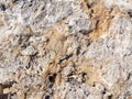 The texture of natural rock, the surface of natural stone, and the pattern of steppingstone Royalty Free Stock Photo