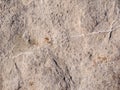The texture of natural rock, the surface of natural stone, and the pattern of steppingstone Royalty Free Stock Photo