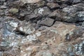 Texture of natural stone rock, background wallpaper white, gray and black splashes on the surface. Horizontal Royalty Free Stock Photo