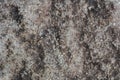 Texture of natural stone shot in close-up. background for the production of porcelain stoneware and ceramics.