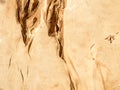 The texture of the natural vintage rustic solid wood. Background
