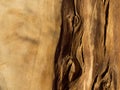 The texture of the natural vintage rustic solid wood. Background