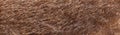 Texture of natural brown fur background Royalty Free Stock Photo