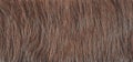 Texture of natural brown fur background Royalty Free Stock Photo