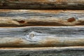 Texture of natural wood grain Royalty Free Stock Photo