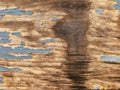 Texture of wood plank with cracked gray paint, spot of water spillage, abstract background.