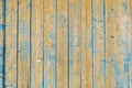 The texture of natural wooden planks with seams painted with blue peeling paint of old shabby scratched cracked ancient. Royalty Free Stock Photo