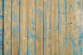 The texture of natural wooden planks with seams painted with blue peeling paint of old shabby scratched cracked. The background Royalty Free Stock Photo