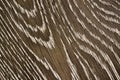 The texture of a natural wooden smooth surface