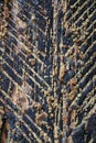 Texture of notches on the pine bark for resin extraction Royalty Free Stock Photo