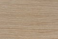 Texture of oak. Texture of natural solid wood. Oak board with a white tint, bleached wood for the production of Royalty Free Stock Photo