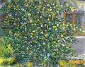 Texture oil painting on canvas Green flowering bush of jasmine near the house