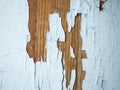 Texture of old board. Wooden scratched and dirty surface. White polished paint on the board Royalty Free Stock Photo