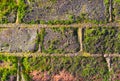 Texture of an old brick wall with moss Royalty Free Stock Photo