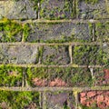 Texture of an old brick wall with moss Royalty Free Stock Photo