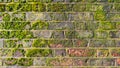 Texture of an old brick wall with moss Royalty Free Stock Photo