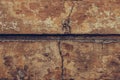 Texture of old brown wall cracked. Grunge background of ruined wall. Abstract grunge dirty stucco wall. Shabby brown cracked dila