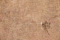 Texture old canvas fabric Royalty Free Stock Photo