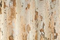 The texture of an old asbestos house roof in a village or an old painted fence of shiver slate