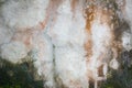 Texture of old concrete grunge wall covered with moss as a bac