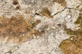 Texture of the old concrete wall with a damaged surface and small cracks Royalty Free Stock Photo