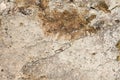 Texture of the old concrete wall with a damaged surface and small cracks Royalty Free Stock Photo