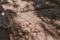 Texture of old cracked asphalt pavement. Shadows of trees on the surface.