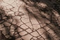 Texture of old cracked asphalt pavement. Shadows of trees on the surface.