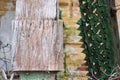 The texture of the old cracked wood, painted in green on a background of an old brick wall. Royalty Free Stock Photo