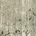 Texture of old damaged paint on a wall Royalty Free Stock Photo